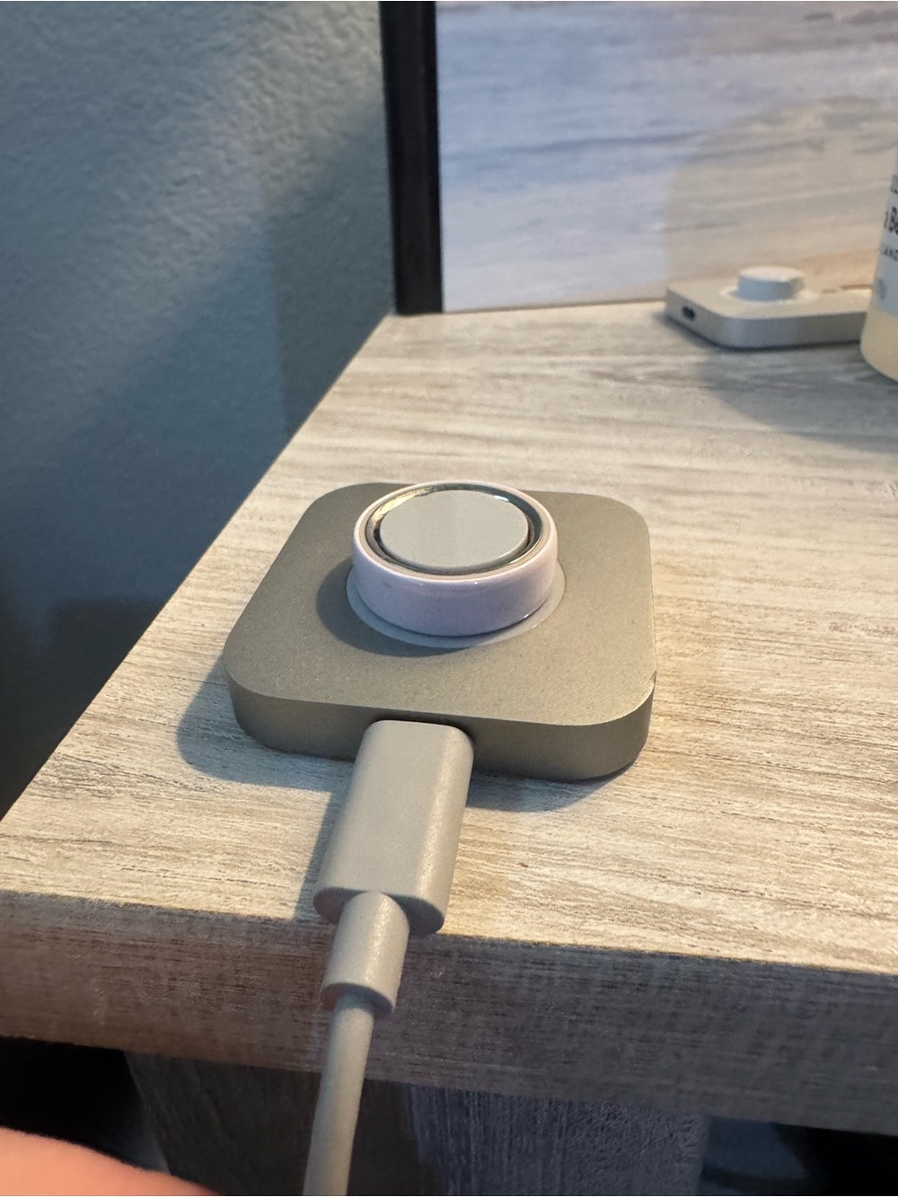 Oura Ring Gen 4- Ceramic Petal size 9